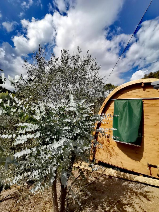 Tiny Cottage Casa Uccello Apricale Ngoại thất bức ảnh